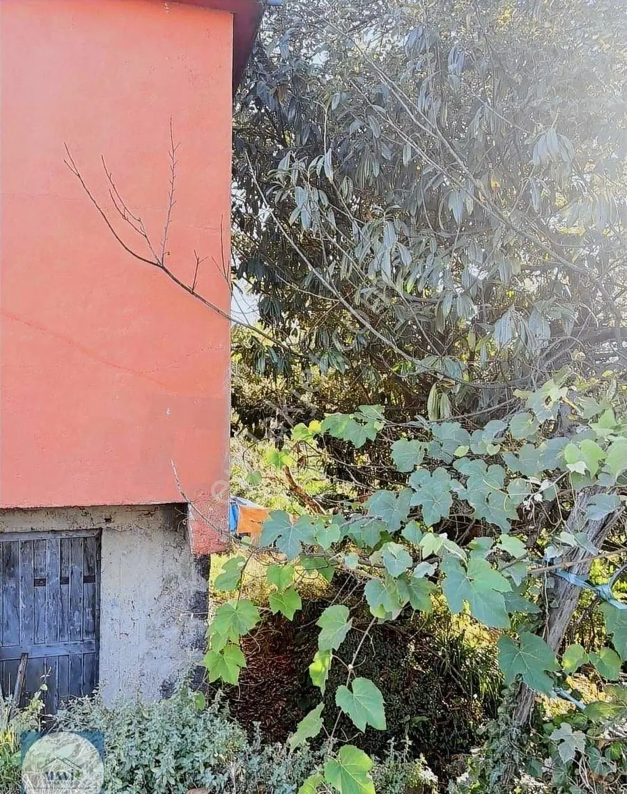 Giresun Görele Karaburunda Ev Ve Fındık Bahçesi