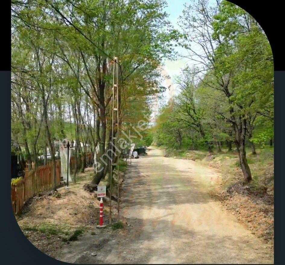 Çatalca Ormanlı Tinyköy'de 200 M² Satılık Tiny House Arsası - Görsel 8