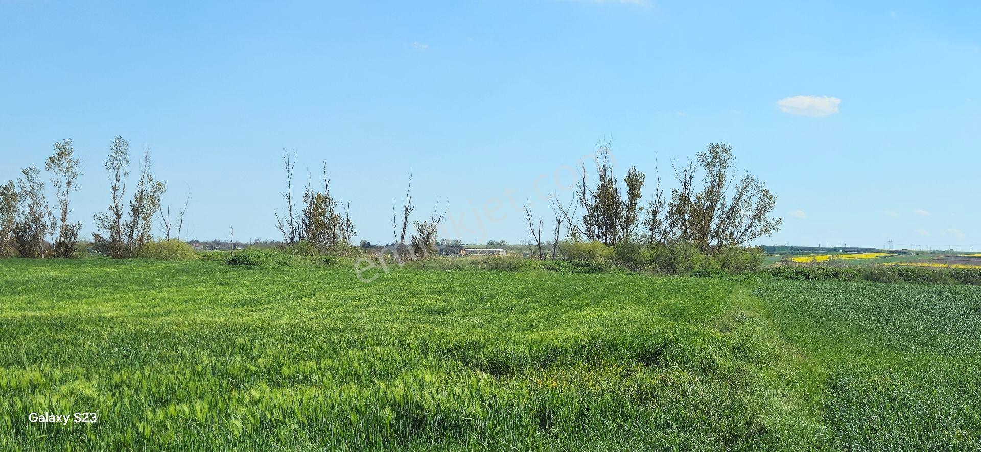 Lüleburgaz Ovacık Köyün'de 4.868 M2 - Görsel 9