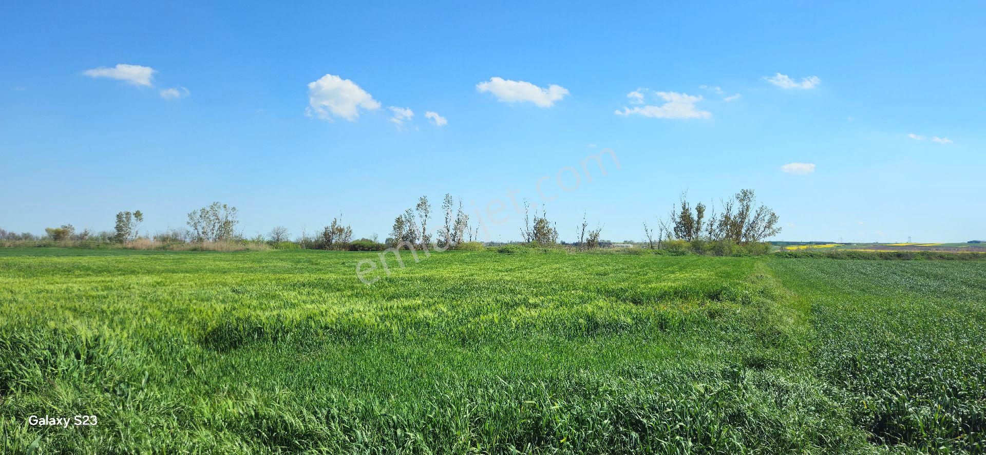 Lüleburgaz Ovacık Köyün'de 4.868 M2 - Görsel 3