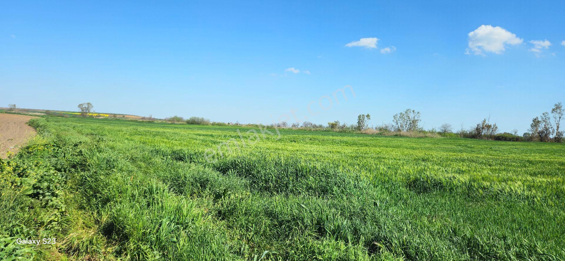 Lüleburgaz Ovacık Köyün'de 4.868 M2 - Görsel 5