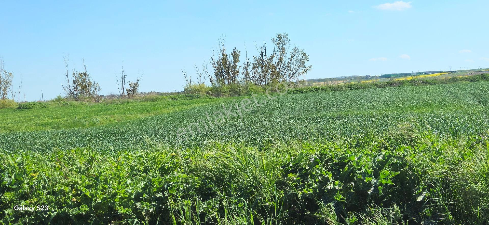Lüleburgaz Ovacık Köyün'de 4.868 M2 - Görsel 13