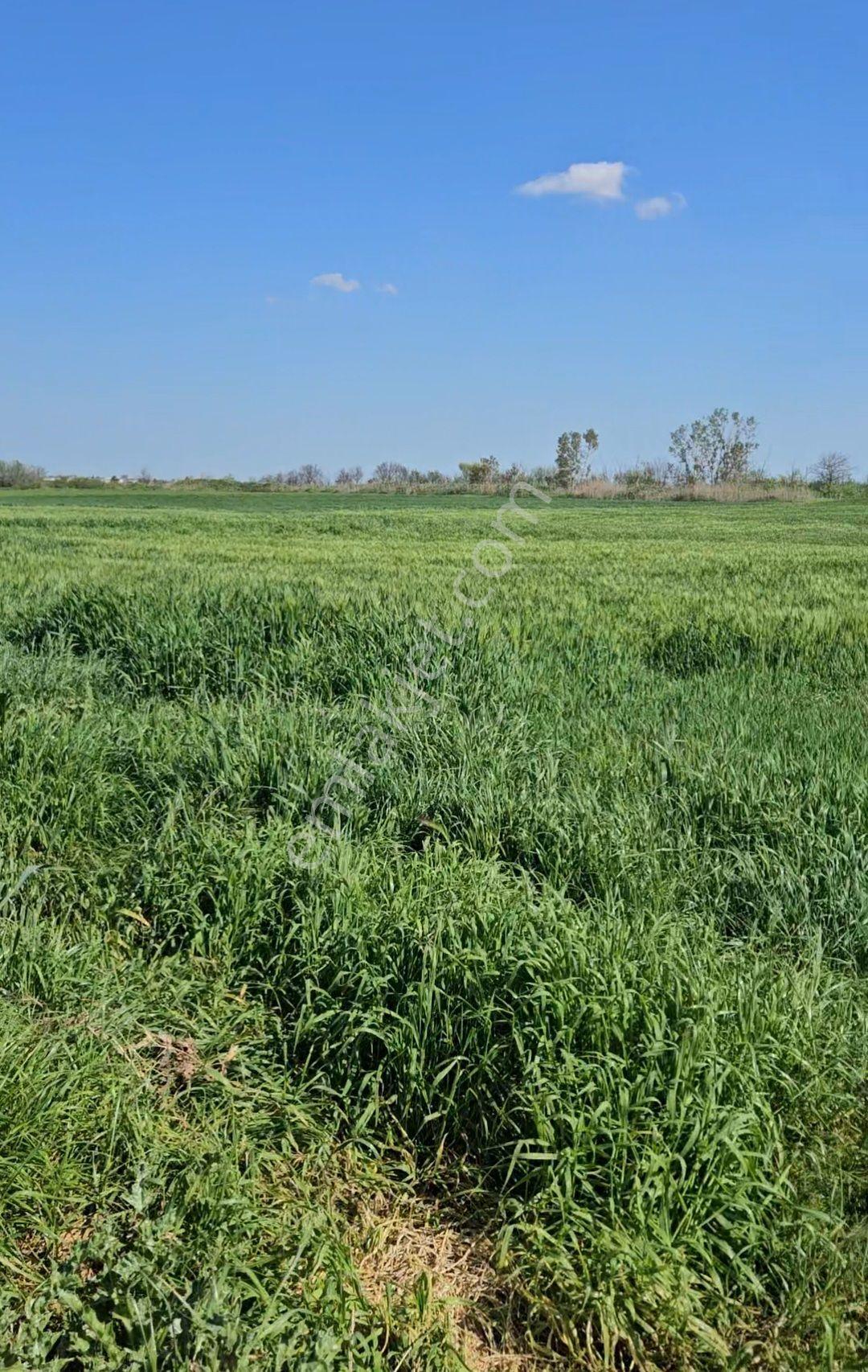 Lüleburgaz Ovacık Köyün'de 4.868 M2 - Görsel 2