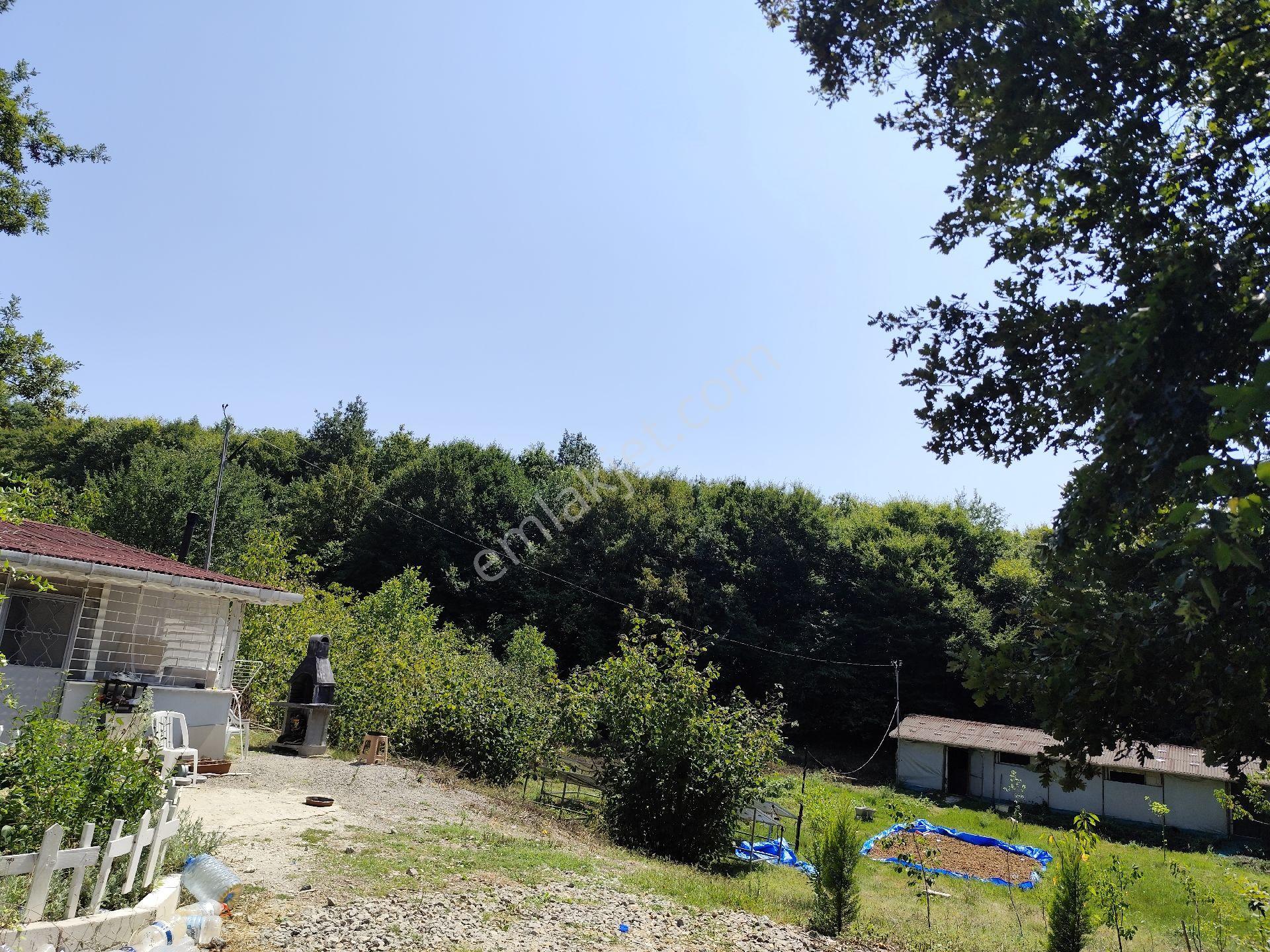 Kefken Tapulu Arsa + Fındıklık, Toplam 10 Dönüm. İçinde Ev - Görsel 2