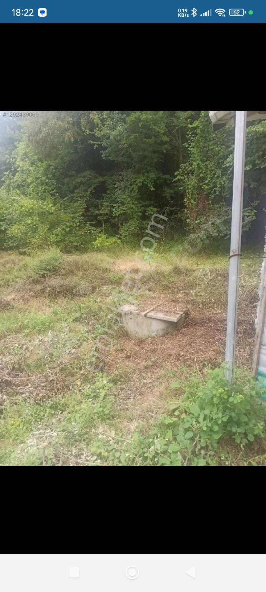 Kefken Tapulu Arsa + Fındıklık, Toplam 10 Dönüm. İçinde Ev - Görsel 12