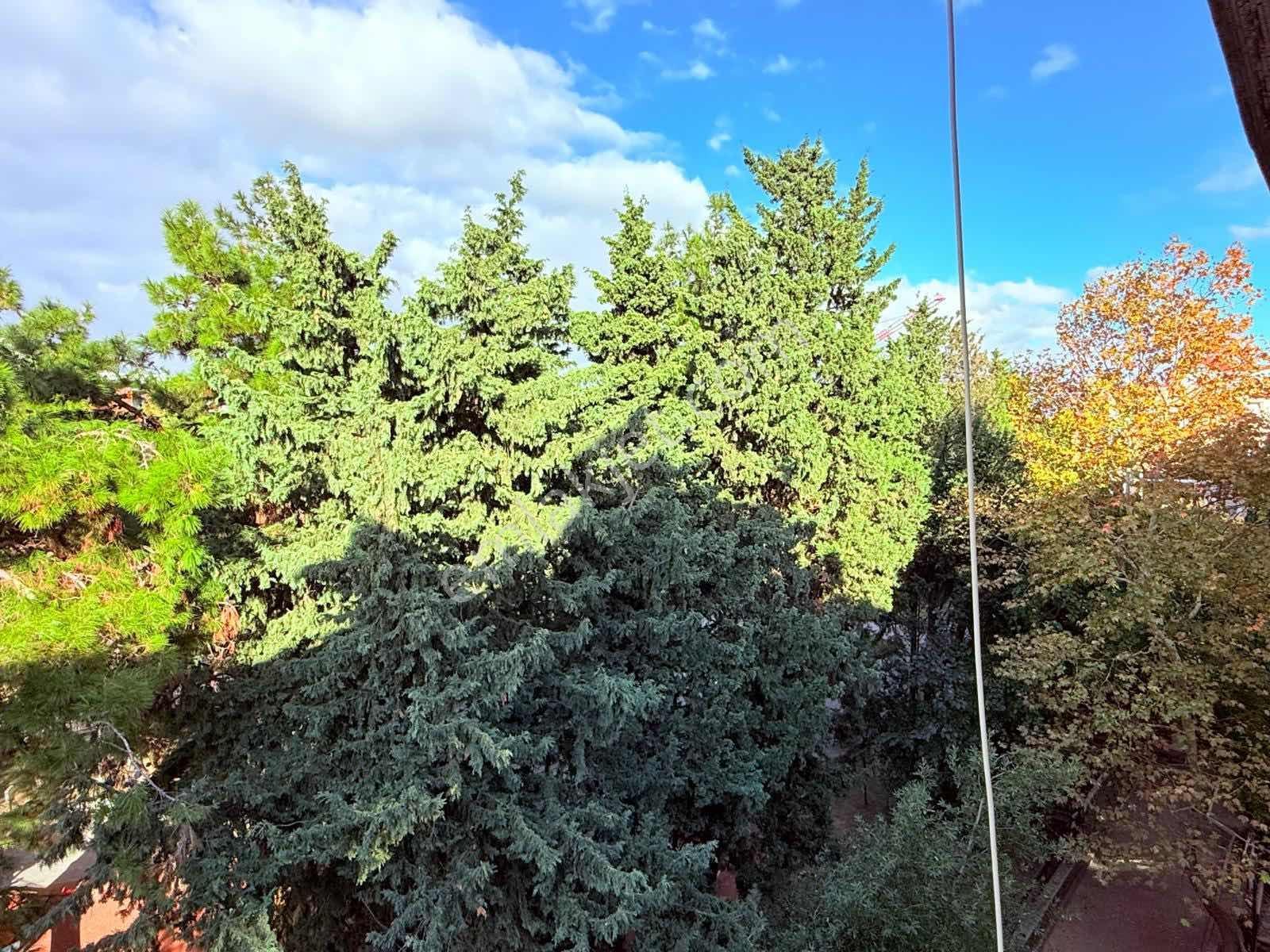 Bakırköyde Yücetarla Caddesin De Cadde Cepheli 280m2 6+2 Teraslı - Görsel 5