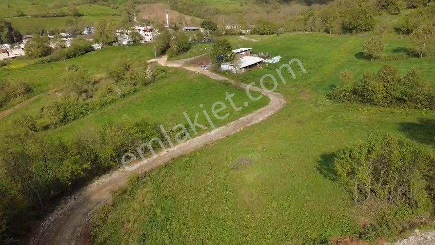 Öztarlacıdan Akarca Resmı Yola Cephe 2900 M2 Arazi
