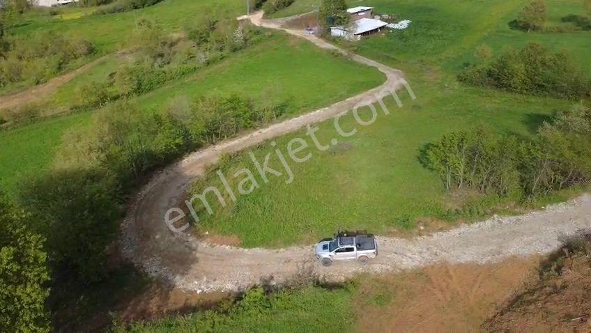 Öztarlacıdan Akarca Resmı Yola Cephe 2900 M2 Arazi - Görsel 2