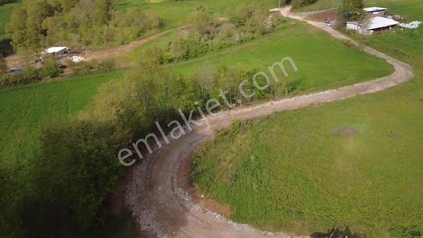 Öztarlacıdan Akarca Resmı Yola Cephe 2900 M2 Arazi - Görsel 4