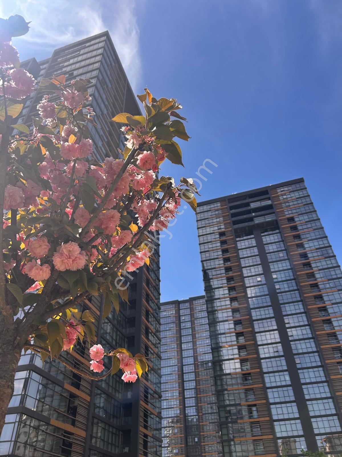 1071 Kadıköy'de Çift Balkonlu, 13. Kat 3+1 Kiralık Daire - Görsel 32