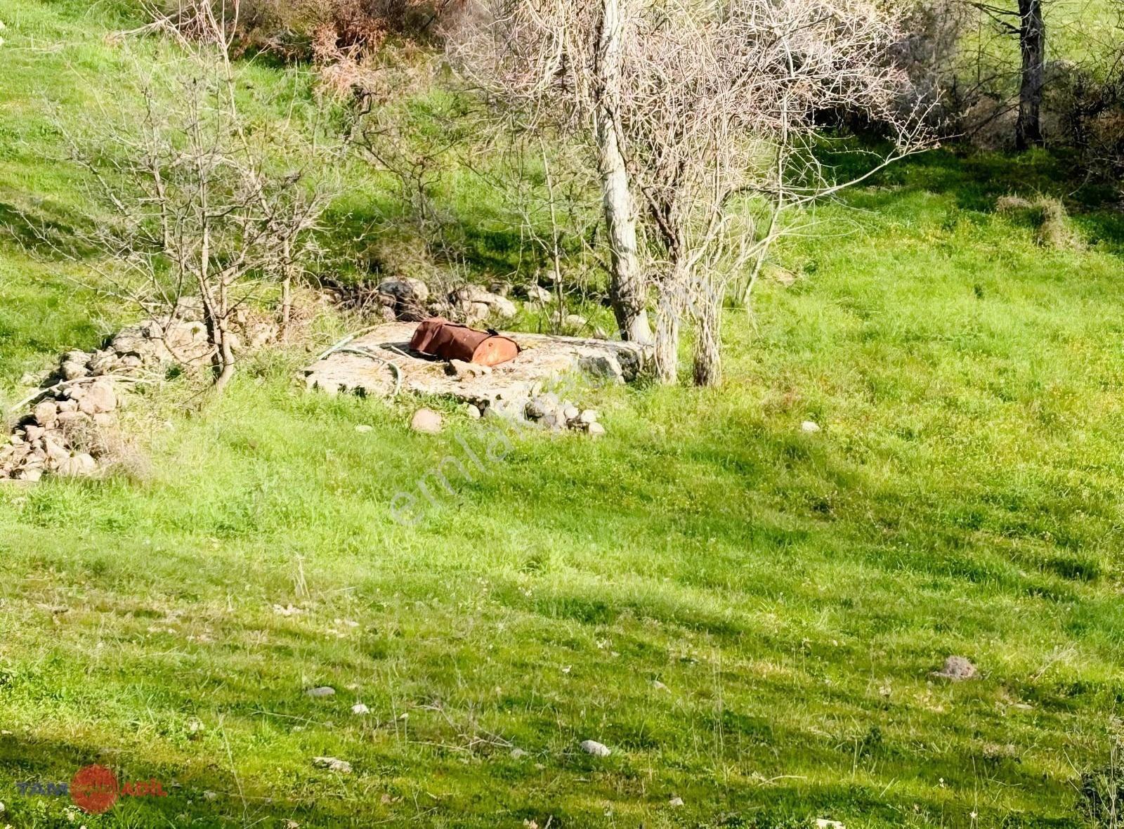 Bergama Çeltikçide Satılık Tarla - Görsel 9