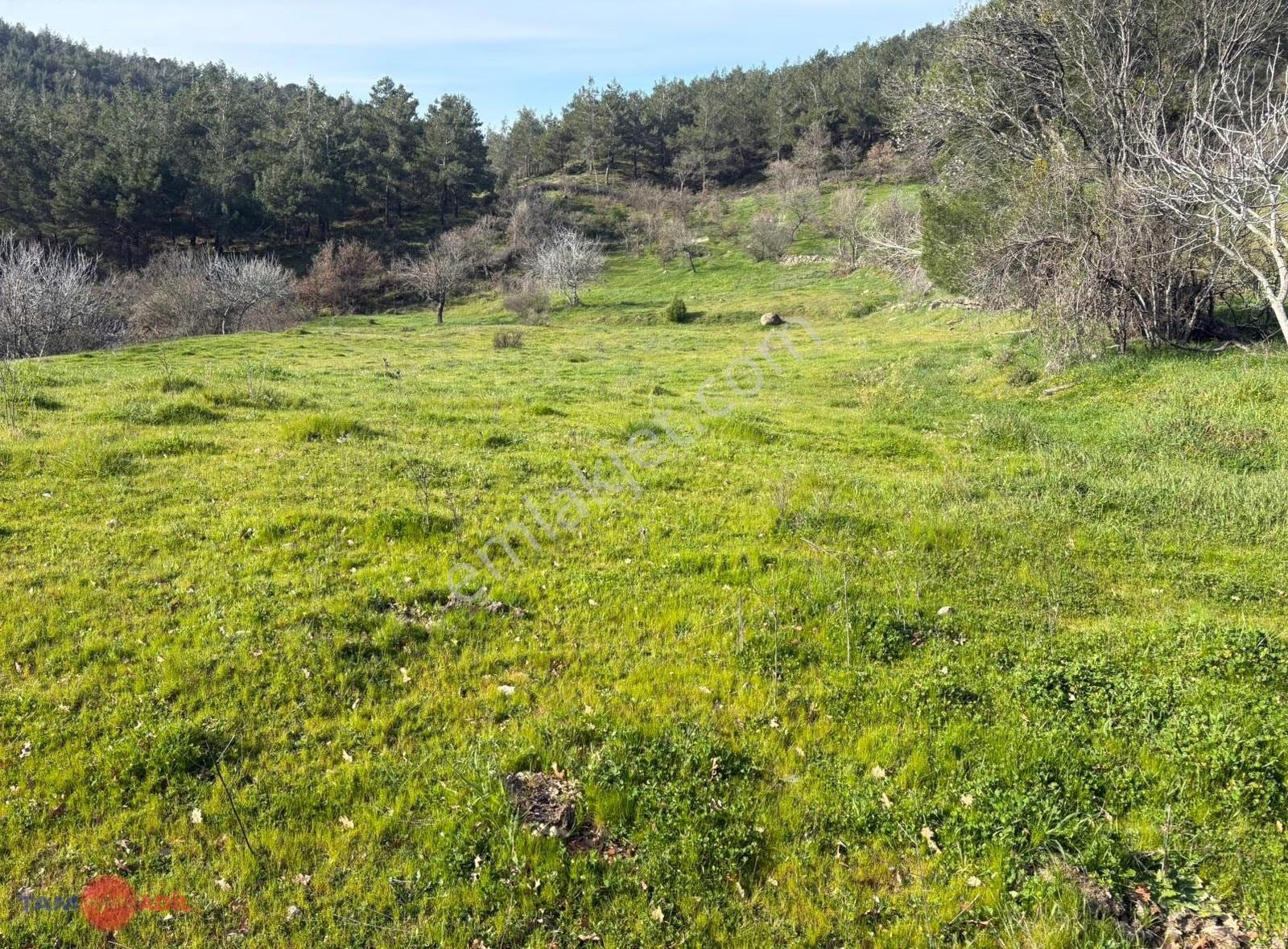 Bergama Çeltikçide Satılık Tarla