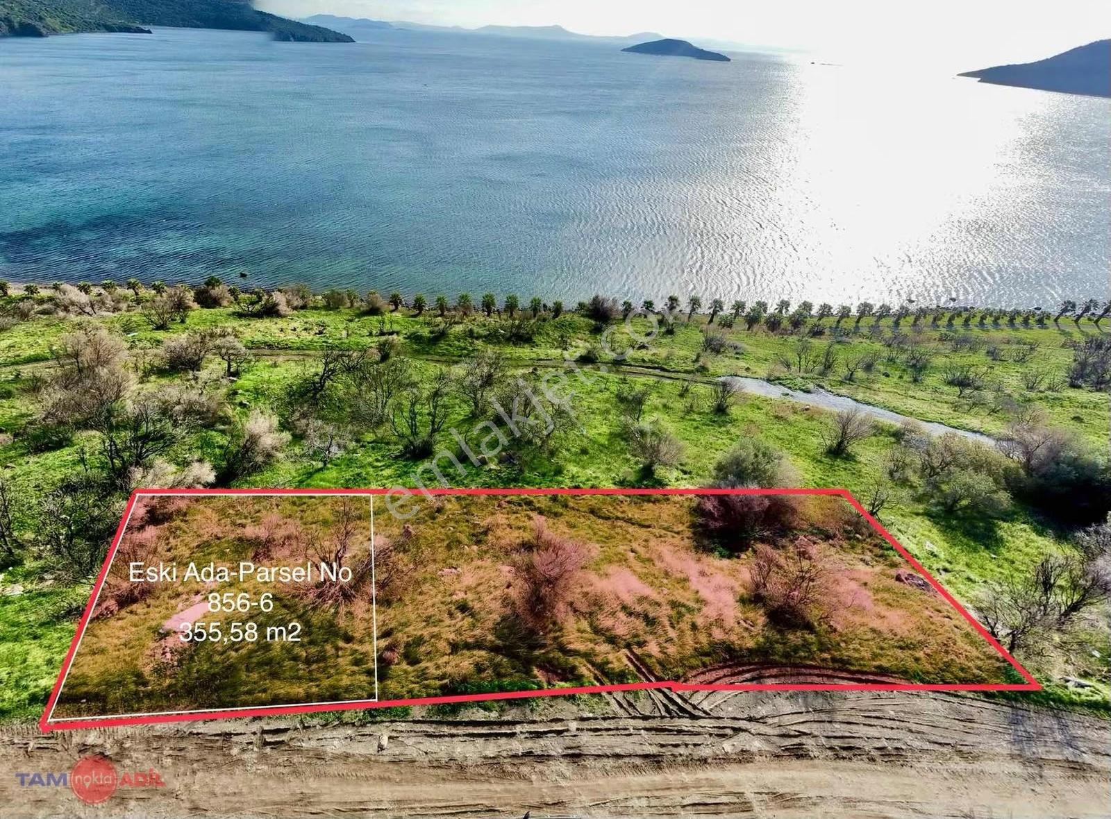 Çandarlı Bimeyko Denize 90 Metre 355m2 Hisseli Arsa - Görsel 12