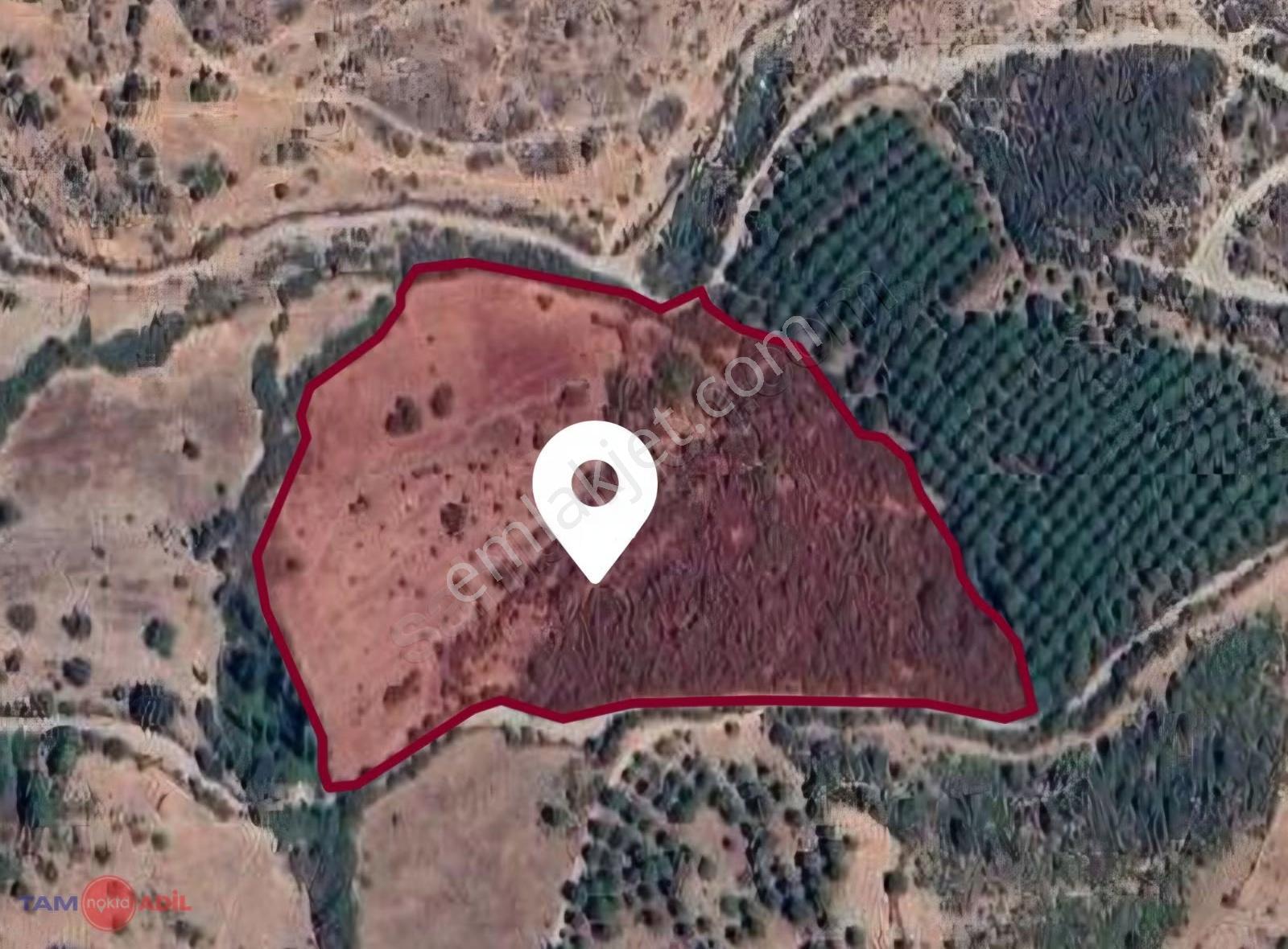 Yeni Yapılacak Kozak Çevre Yolu Üzeri 22.913 M² Yatırımlık Arazi - Görsel 2