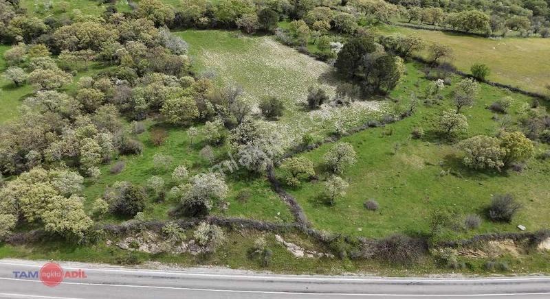 Dereköyde İvrindi Yolu Üzeri Satılık 18 Dekar Tarla - Görsel 2