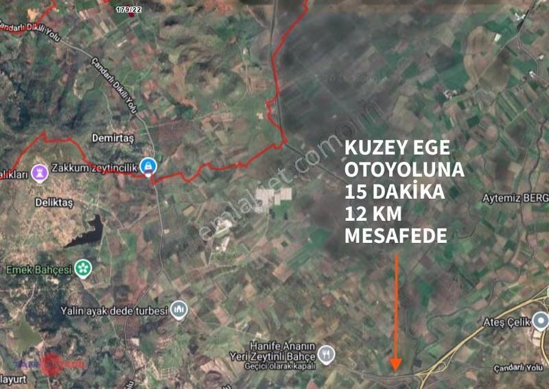 Dikili Demirtaş Fırsat Fiyatlı Zeytinli Tarla - Görsel 6