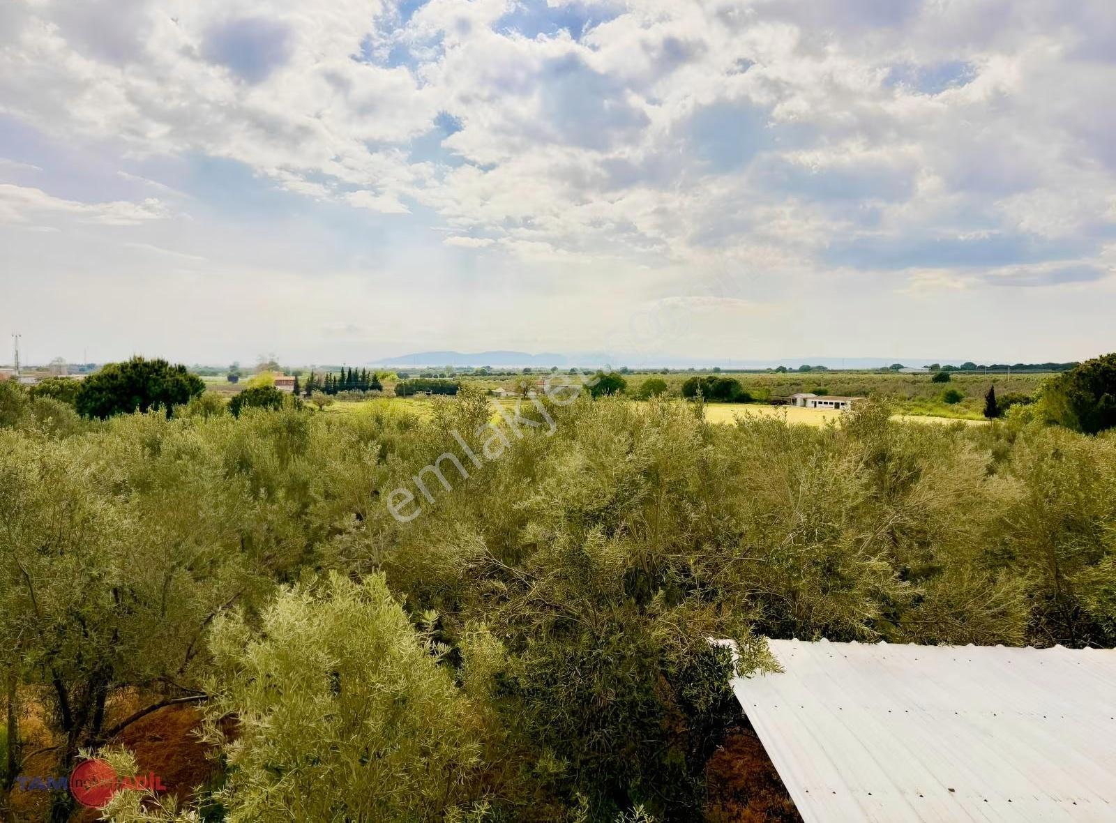 Kabakum'a 250m, 2+1 Evi Ve Deposu Olan Sat. Muhteşem Zeytinlik - Görsel 7
