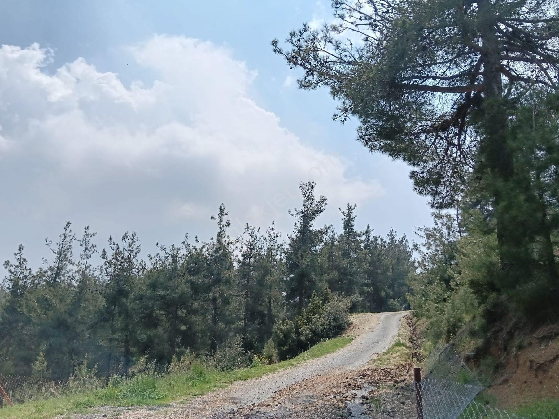 Tarsus Boztepe De Yaylalık Müstakil Satılık Eşyalı Ev - Görsel 5