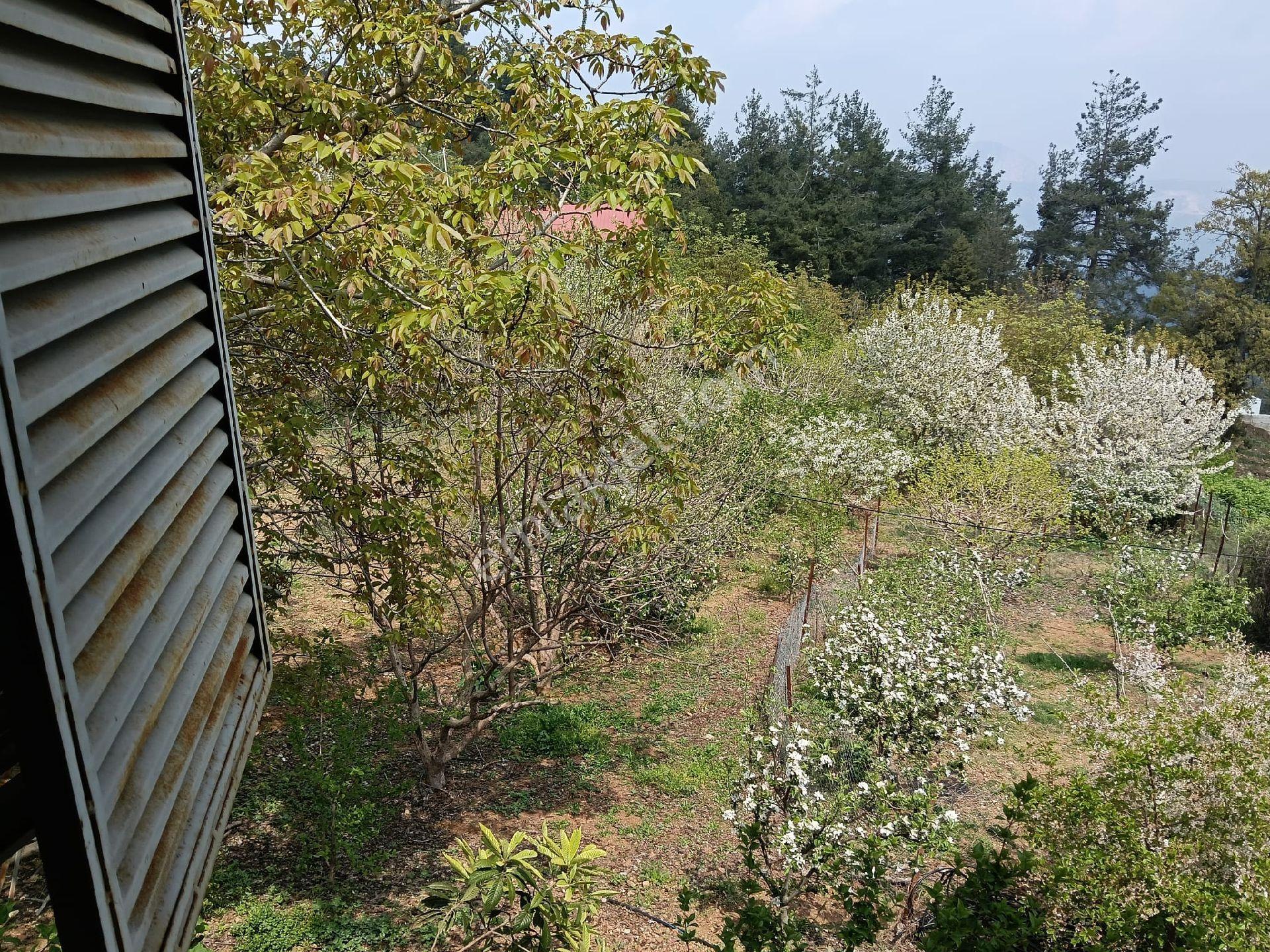 Tarsus Boztepe De Yaylalık Müstakil Satılık Eşyalı Ev - Görsel 28