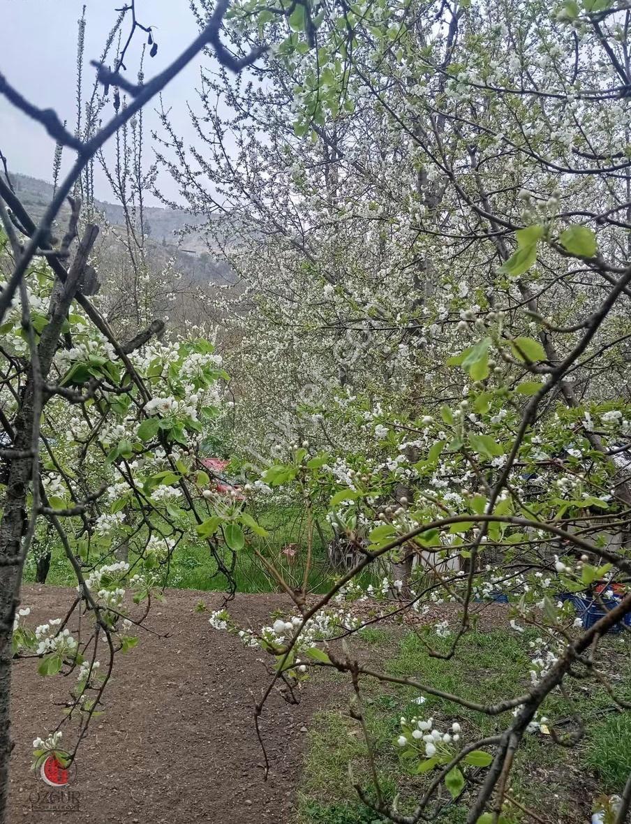 Özgür'den Gündüzbey De Kanal Kenarı Kaçmaz Fırsat Bahçe - Görsel 13