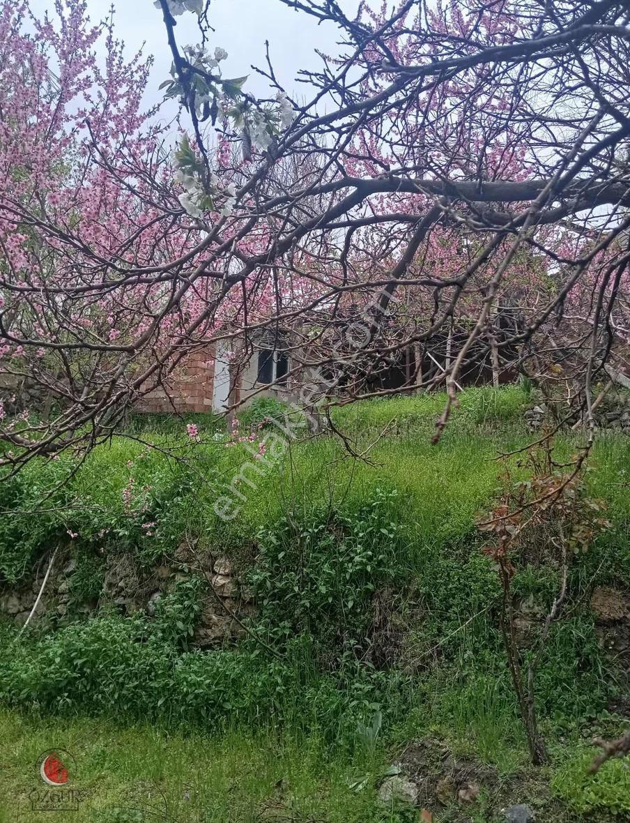 Özgür'den Gündüzbey De Kanal Kenarı Kaçmaz Fırsat Bahçe - Görsel 17