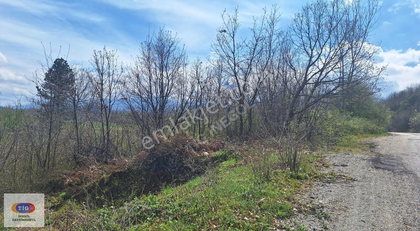 Tig İnegöl'den Hacıkara'da Satılık Tarla - Görsel 5