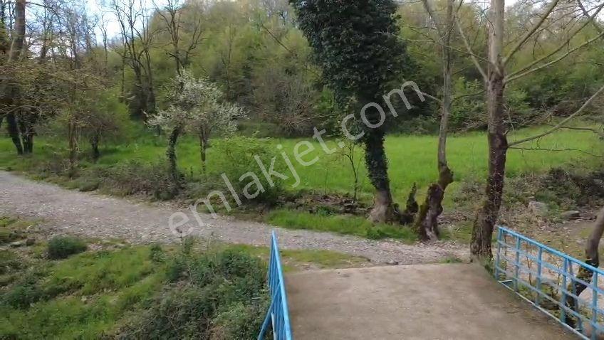 Öztarlacıdan Akarca Dere Kenarında 3850 M2 Resmi Yola Cephelı - Görsel 4