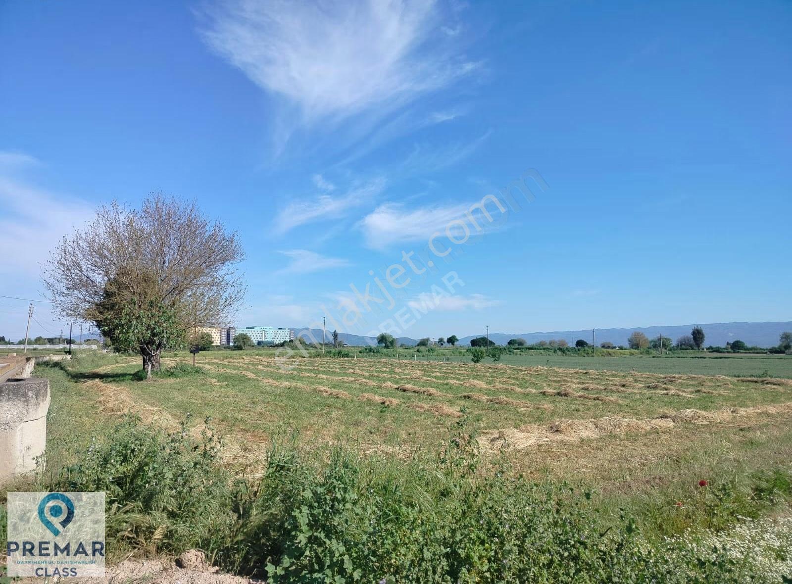 Şehir Hastanesi Yakını Satılık Tarla - 15771 M² - Yola Sıfır - Görsel 2