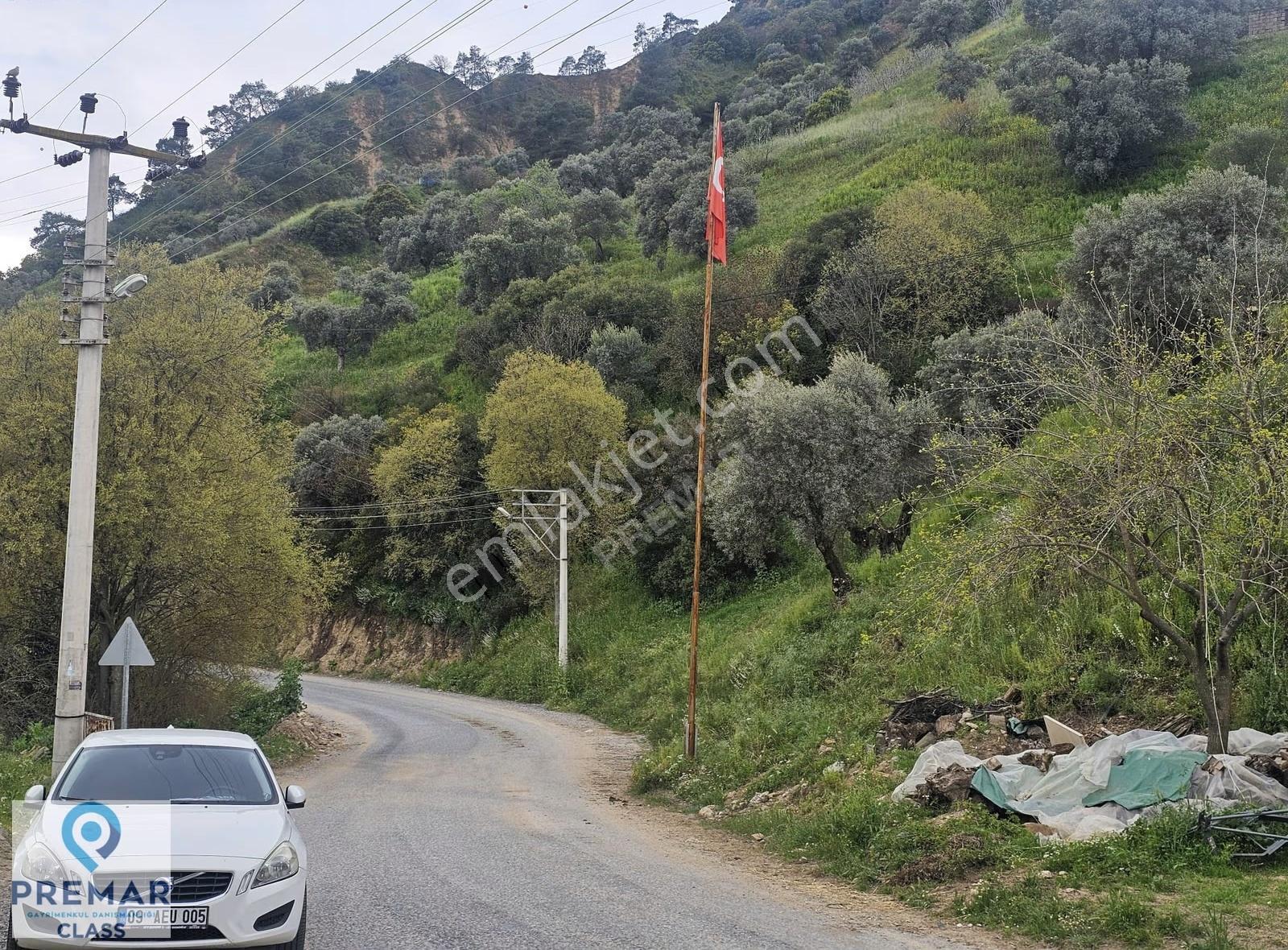 Aydın Çayyüzü'nde Satılık Tarla: 28.747 M², İmarlı Kısım Mevcut! - Görsel 3