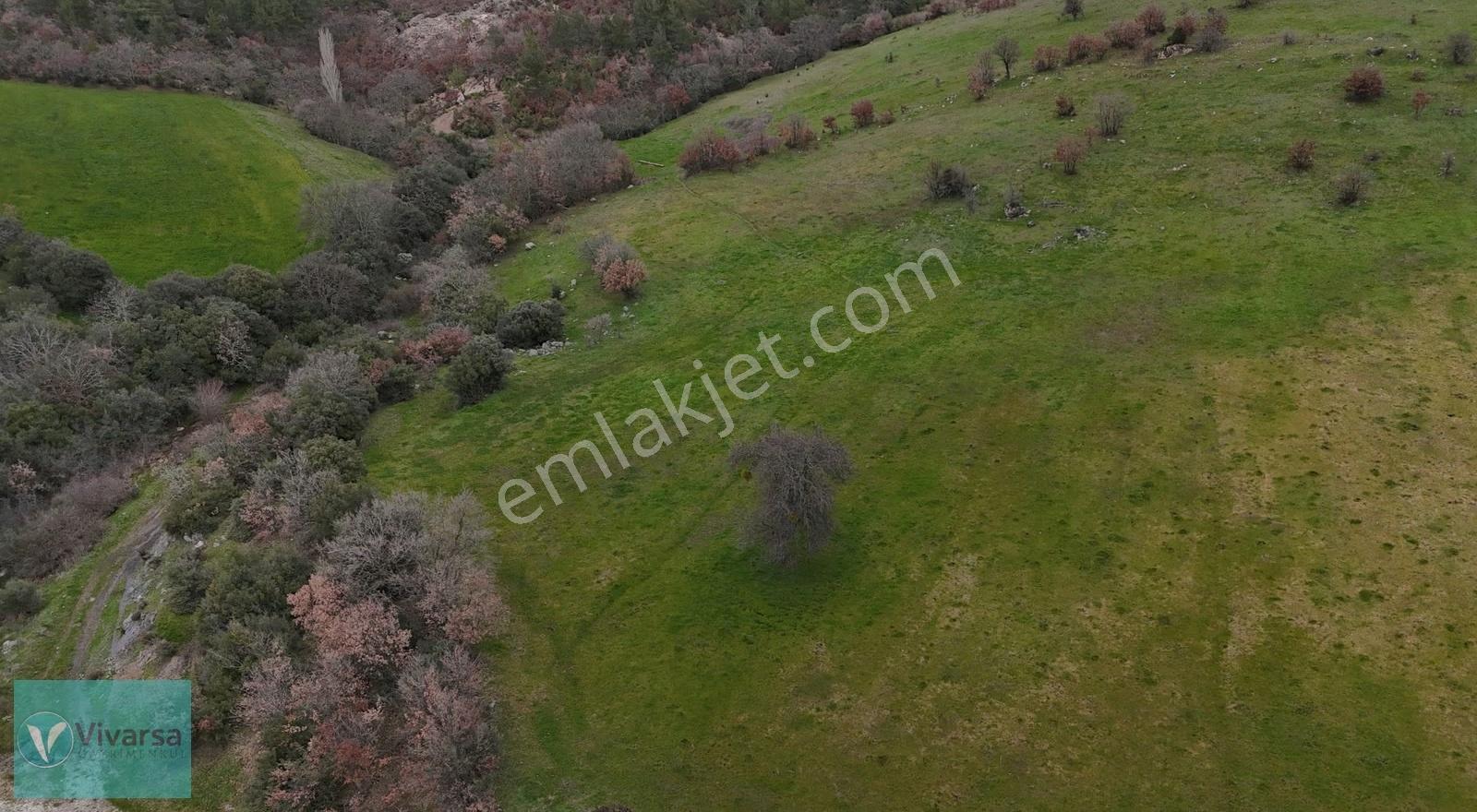 Çanakkale Bayramiç Karaibrahimler Köyünde 32.028 M2 Tarla - Görsel 3
