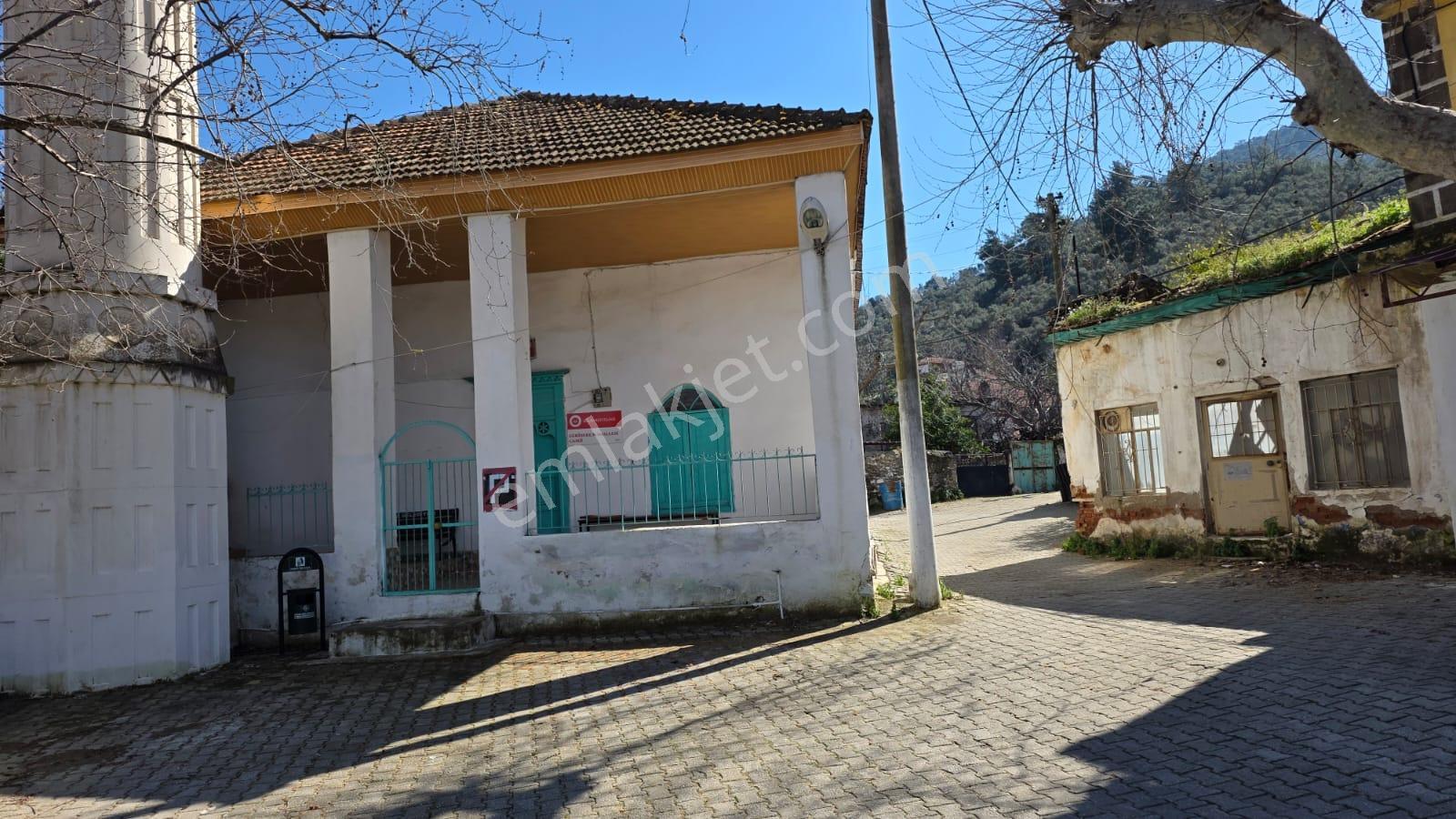 Muğla Milas Önünde Dere Akan Satılık Zeytinlik - Görsel 17