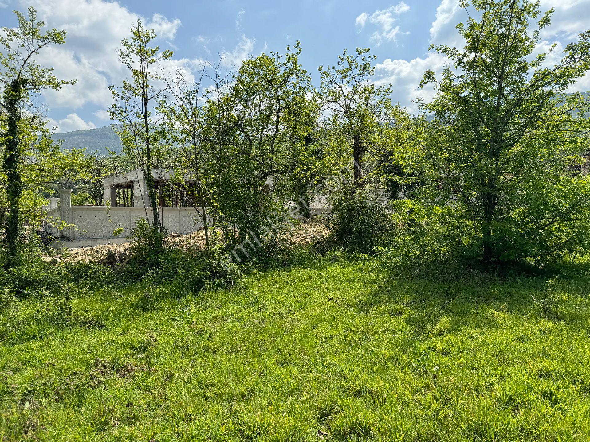 Maşukiye'de Satılık Konut İmarlı 1.720 M2 Arsa - Görsel 17