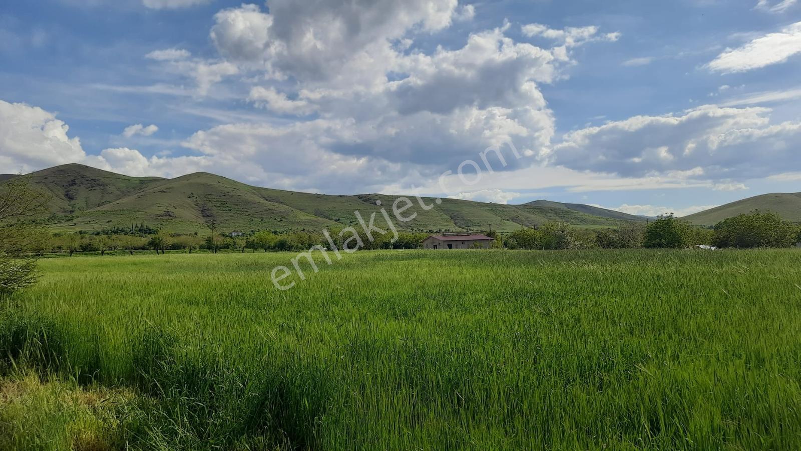 *nova* Yedigöze'de 5.676m2 İmarlı Satılık Arazi - Görsel 8