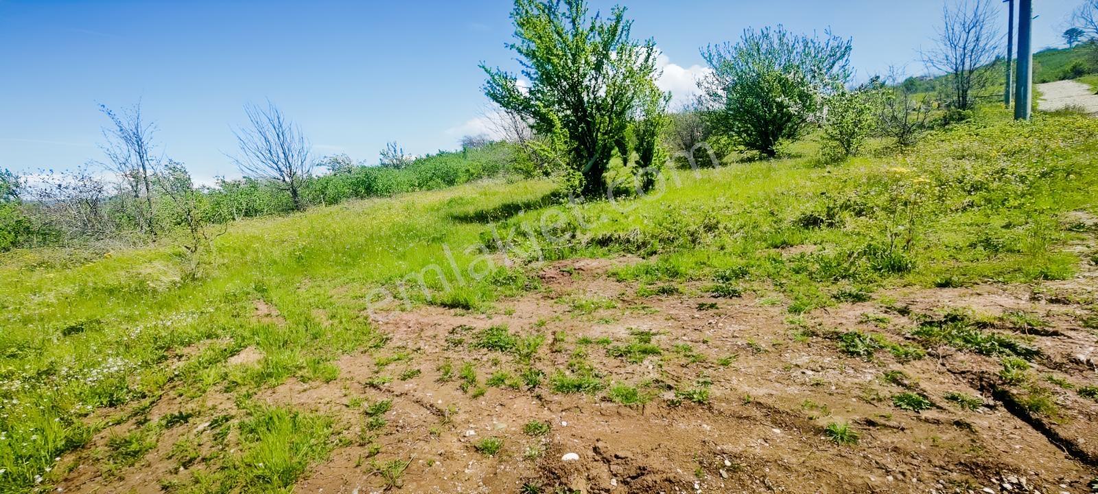 Kuzuluk Topçusırtında 700 M² Süper Manzaralı, Merkeze Yakın Vill - Görsel 17