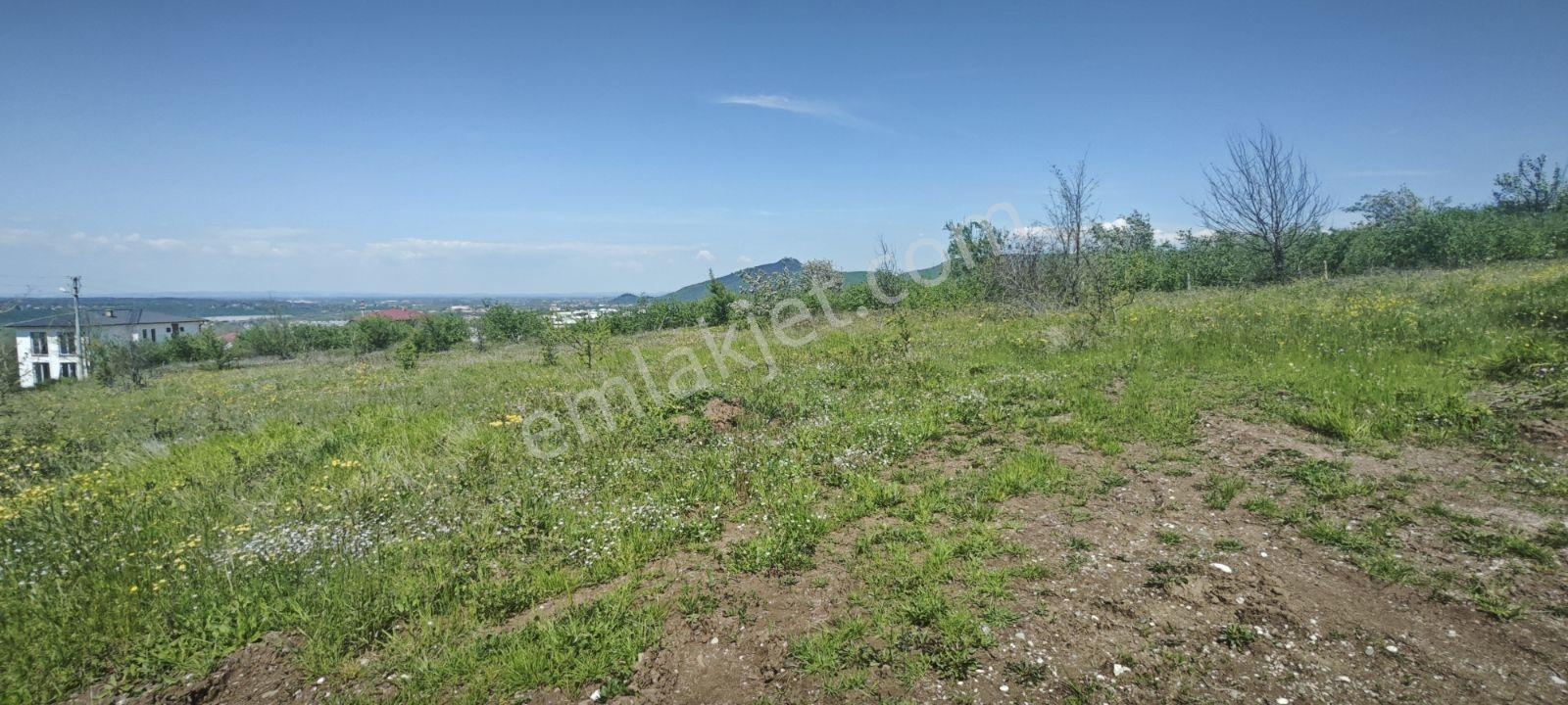 Kuzuluk Topçusırtında 700 M² Süper Manzaralı, Merkeze Yakın Vill - Görsel 2