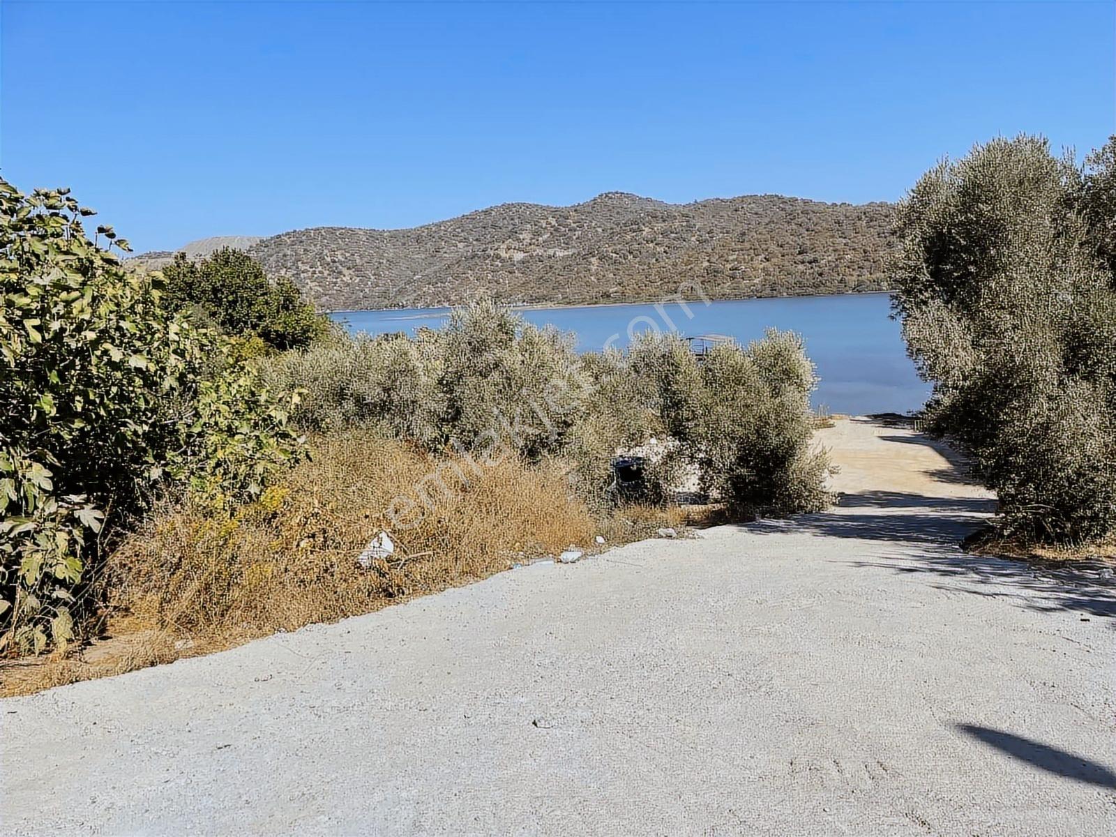 Milas-boğaziçinde Denize Sıfır Kiralık Arsalar - Görsel 7