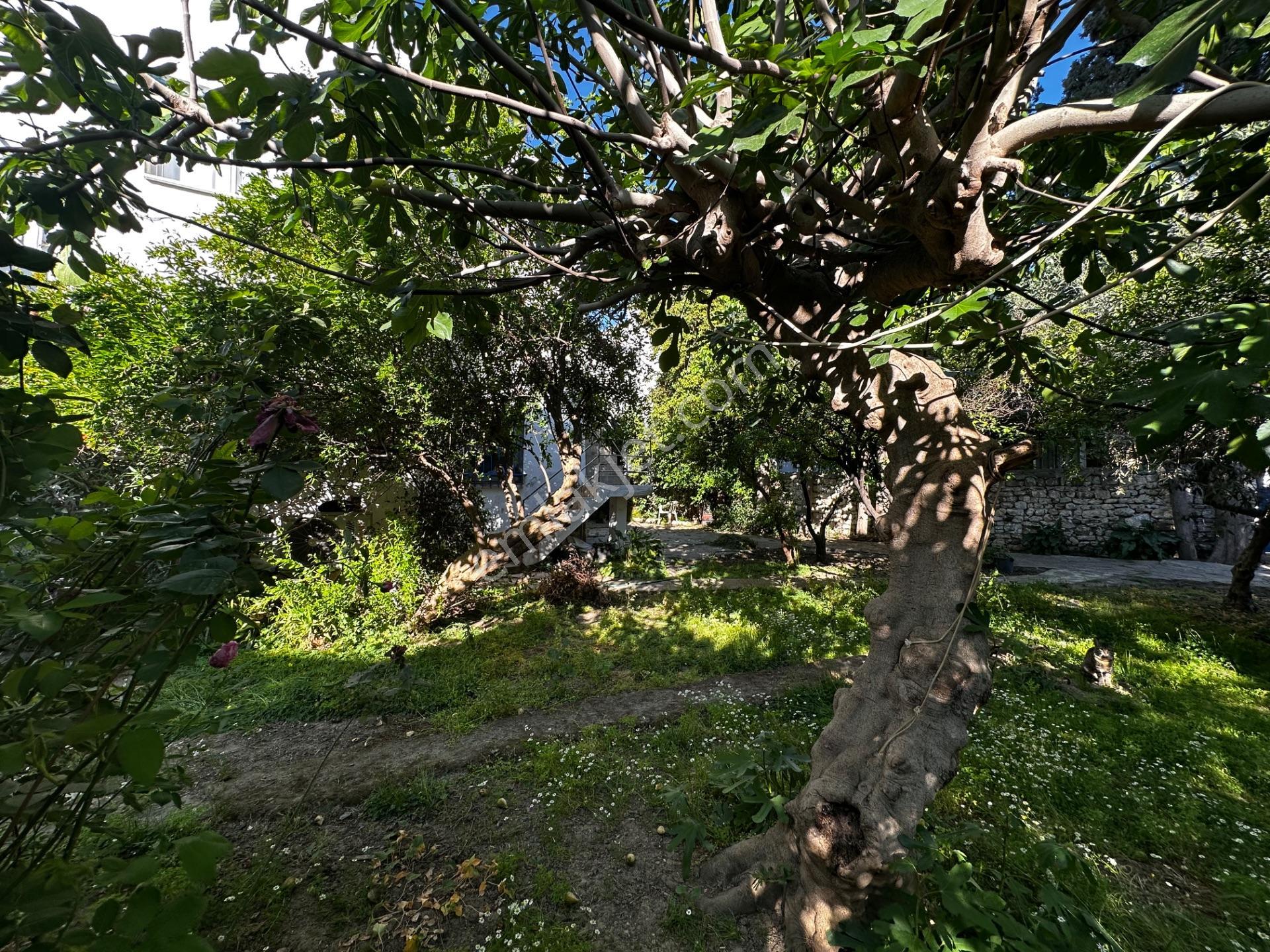 Bodrum Merkezde Bahçe İçerisinde Sezonluk Yazlık - Görsel 23