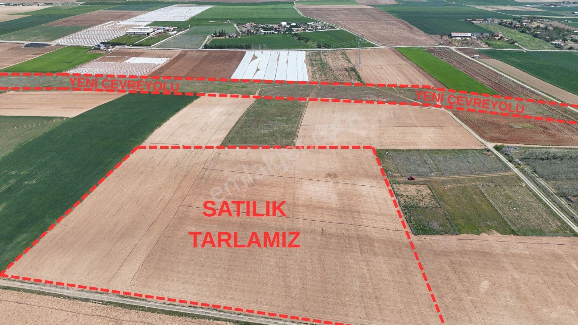 Gödenede Yeni Çevreyoluna 100 Metre 23.014 M2 Müstakil Tarla - Görsel 2