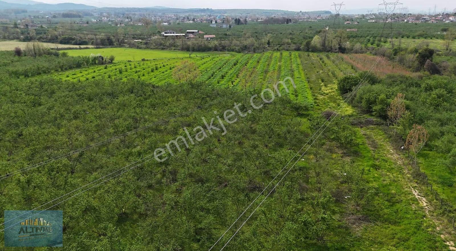 Doğanın Kalbinde Eşsiz Bir Yatırım Fırsatı İmar Sınırında Arazi - Görsel 16