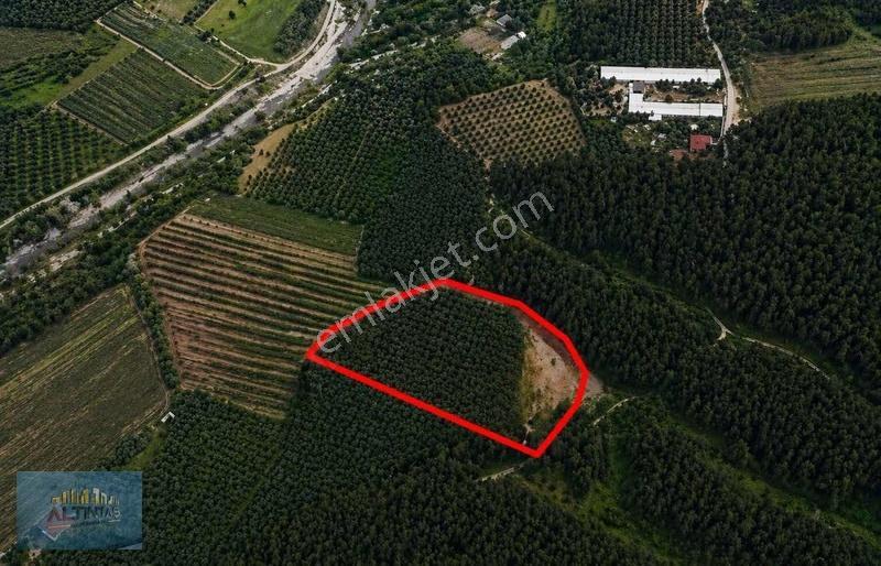 Doğanın Kalbinde Eşsiz Bir Yatırım Fırsatı İmar Sınırında Arazi - Görsel 2