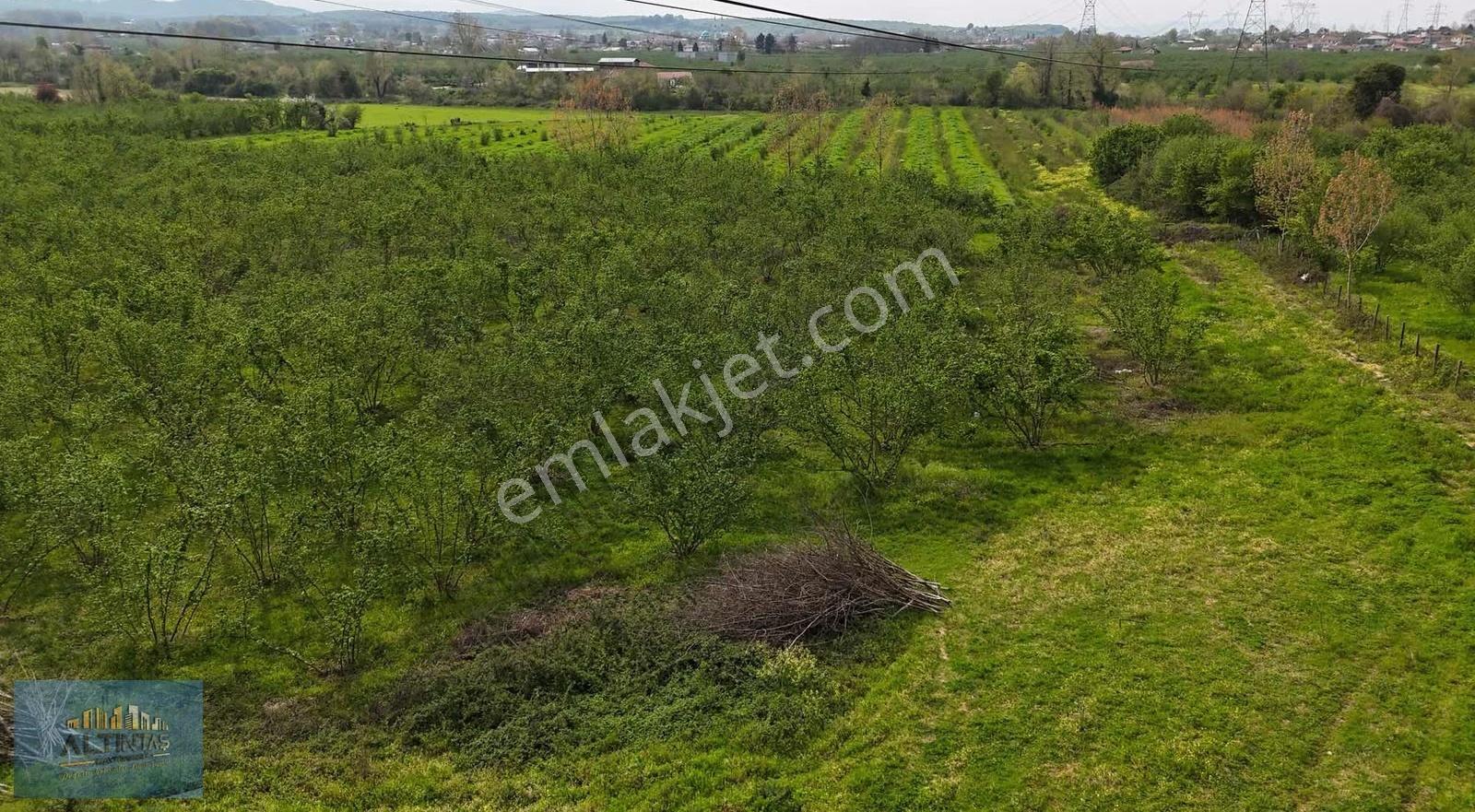 Doğanın Kalbinde Eşsiz Bir Yatırım Fırsatı İmar Sınırında Arazi - Görsel 8