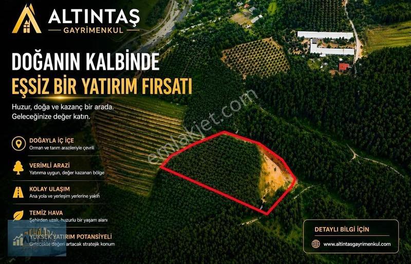 Doğanın Kalbinde Eşsiz Bir Yatırım Fırsatı İmar Sınırında Arazi