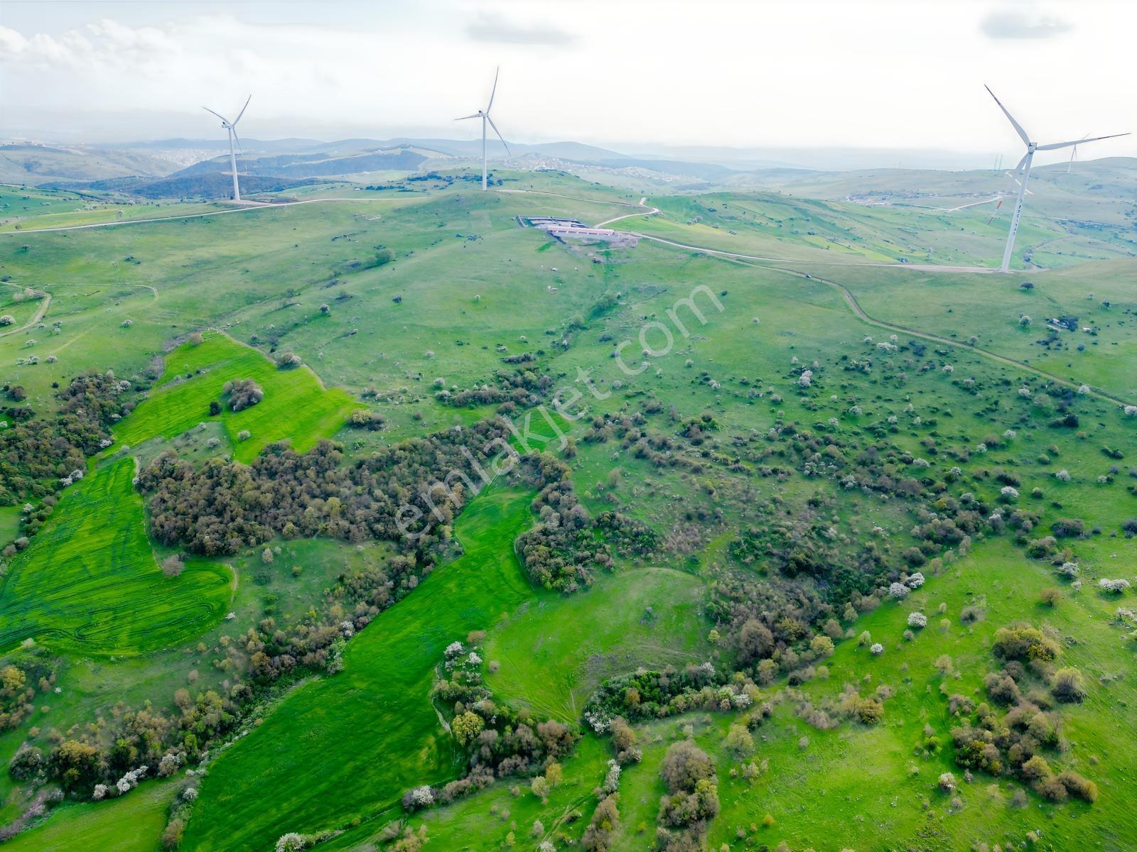 Kavaklı Mah. Şehre Yakın, Resmi Yollu Satılık 16.717 M² Tarla - Görsel 11