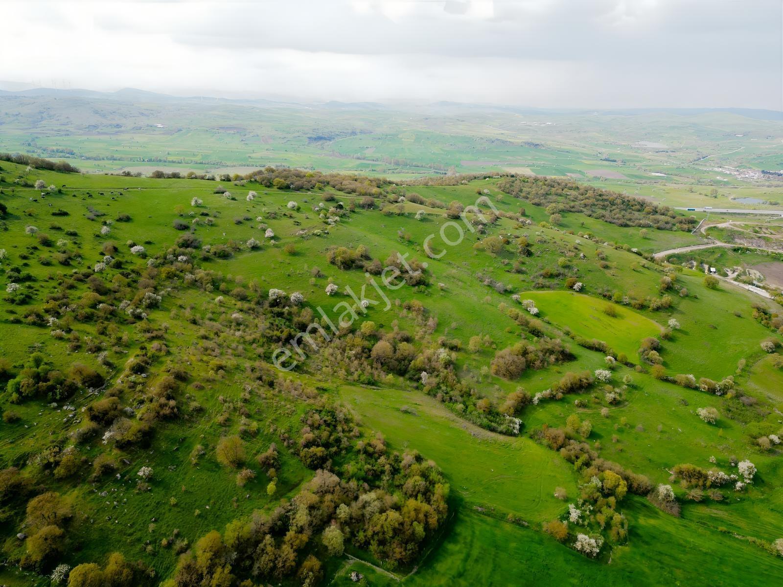 Kavaklı Mah. Şehre Yakın, Resmi Yollu Satılık 16.717 M² Tarla - Görsel 10