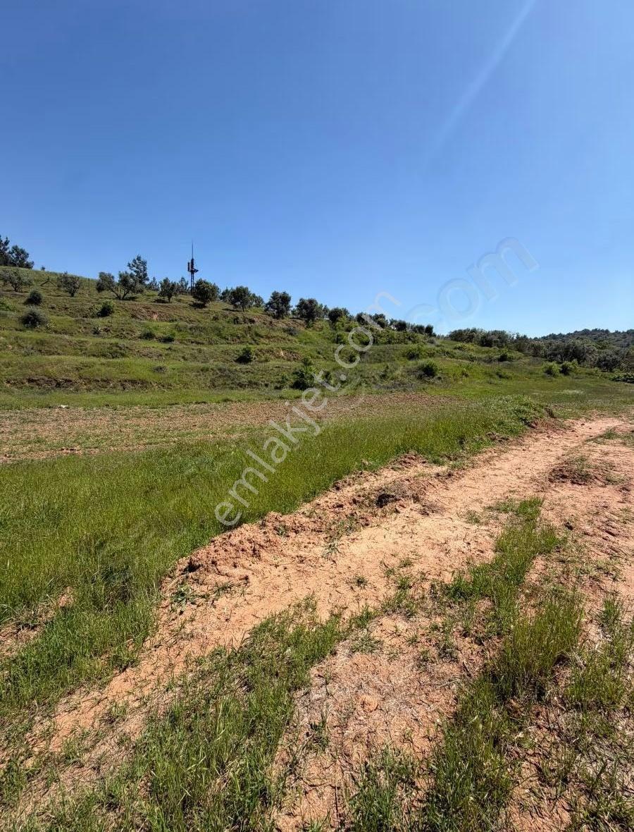 Manisa Ahmetli Barboros Mahallesi 10000m² Tarla Satılık - Görsel 6