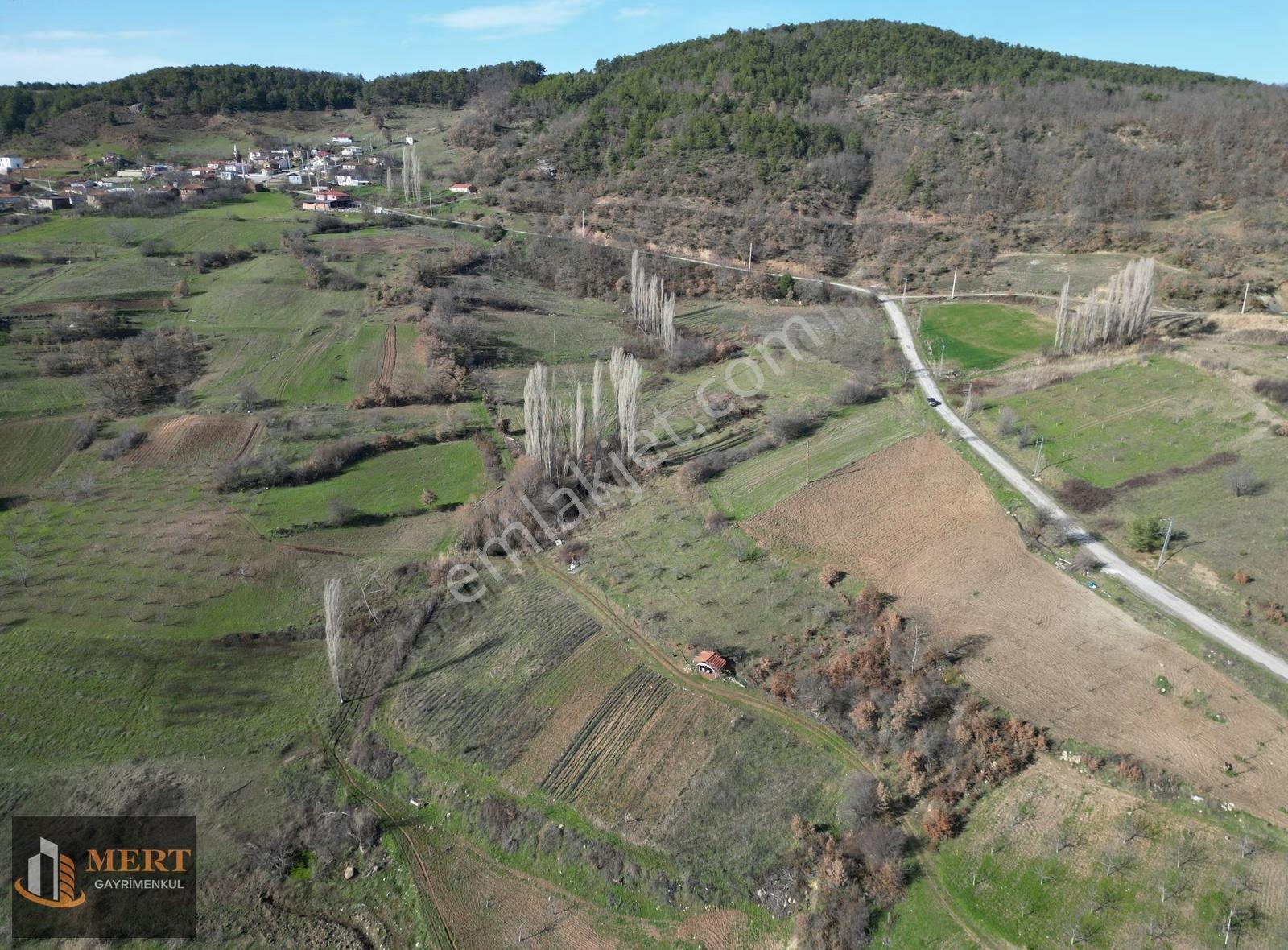 Pamukova Akçakayada 3.341 M² Manzara Hakimi Bahçe - Görsel 3