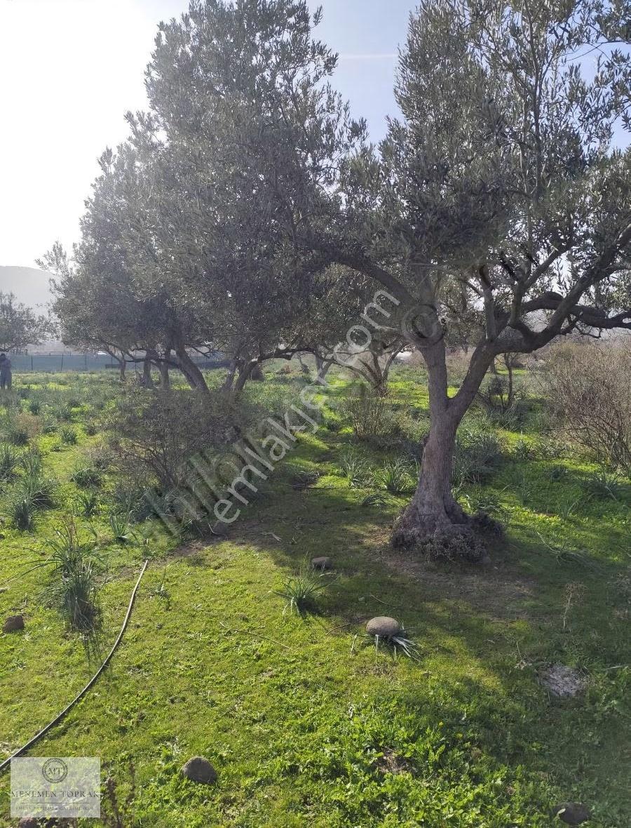Aliağa Çıtak 205 M² Yatırımlık Tarla - Görsel 3