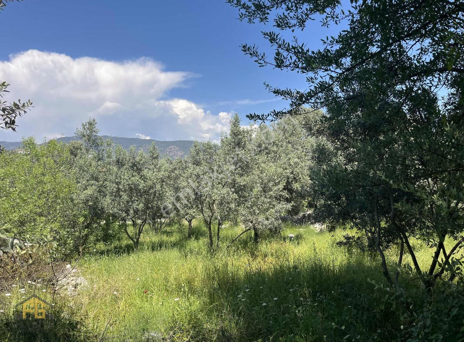 Esenköyde Satılık Müstakil Tapulu 478m2 Tarla - Görsel 6