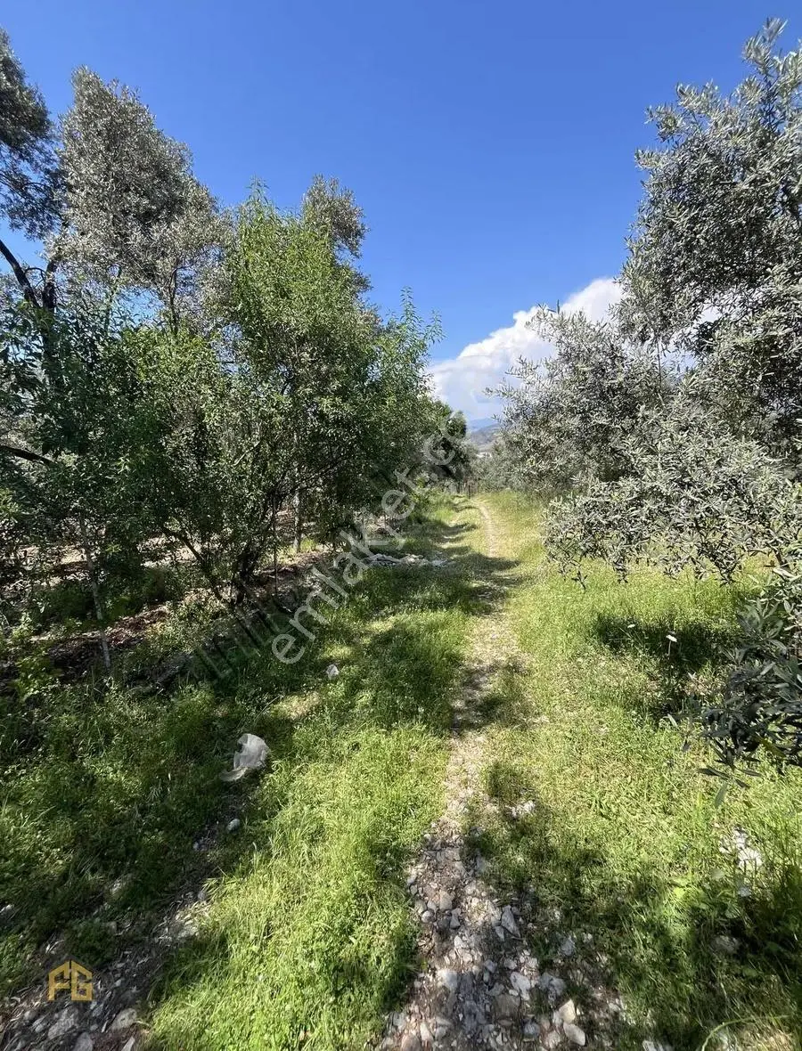 Esenköyde Satılık Müstakil Tapulu 478m2 Tarla