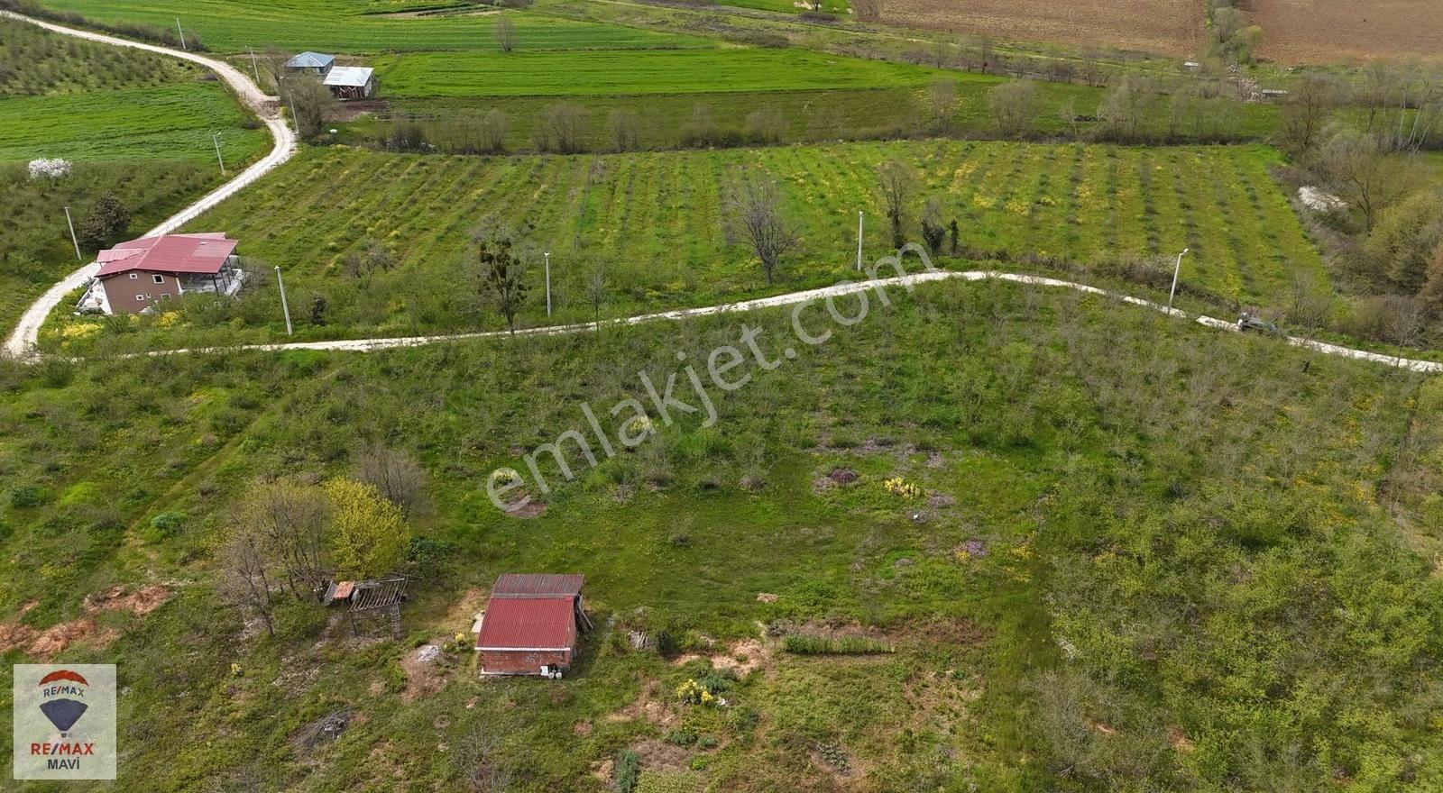 Remax Maviden Kaynarca Karaçalıda 160m Yola Cephe Fındık Bahçesi